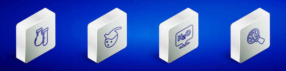 Set Isometric line Test tube and flask, , Chemical formula for H2O and Microorganisms under magnifier icon. Vector