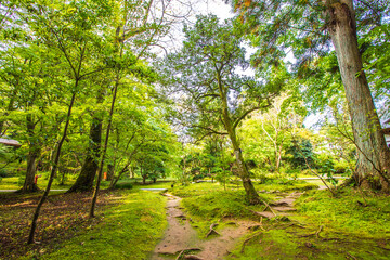 Fototapeta premium 岩手県 中尊寺の風景