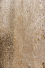 The texture of the old board. Will match the background