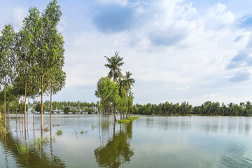 Scenic view of traditional flooded fields like a still lake on floating season in rural Thailand....