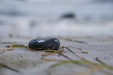 Flint on the stand of the Baltic Sea with seaweed.
