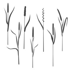 A set of silhouettes of grasses on a white background