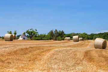 beautiful landscape in Alberobello