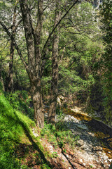 The ancient wine-growing village of Kilani in Troodos is located on the banks of a mountain river. The village is famous for its churches and picturesque surroundings.     
