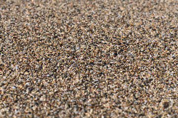 Beach sand of small, tiny pebbles and seashells