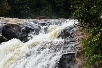 Fototapeta premium waterfall in the forest