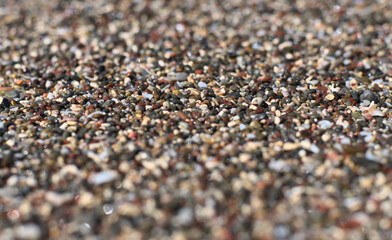 Beach sand of small, tiny pebbles and seashells