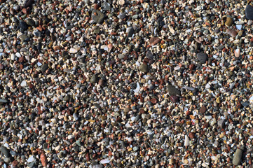 Beach sand of small, tiny pebbles and seashells