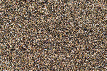 Beach sand of small, tiny pebbles and seashells