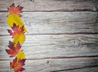 Naklejka na ściany i meble Colorful autumn leaves on black background 