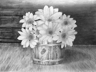 Bouquet of daisies in a wooden barrel, drawing with graphite pencil
