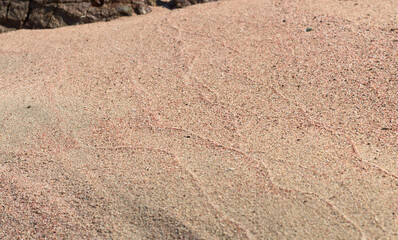 Pink sand on Elafonisi beach at Crete, Greece
