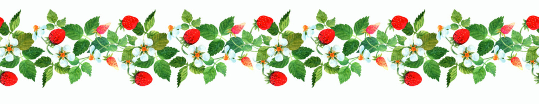 Watercolor woodland seamless border with wild strawberries, flowers and leaves. Hand drawn nature summer illustration isolated on white background. Fabric, card, poster, greeting, invitation, label