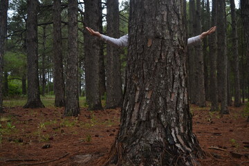 Naklejka premium Entre Ríos 