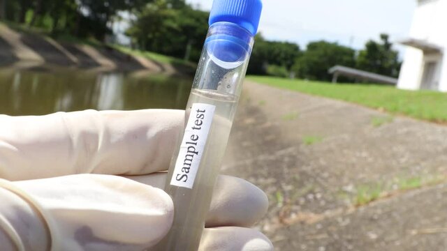 Collect samples of wastewater from industrial canals in test tubes to be examined in the laboratory