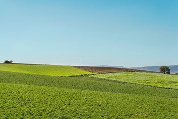 tractor in field