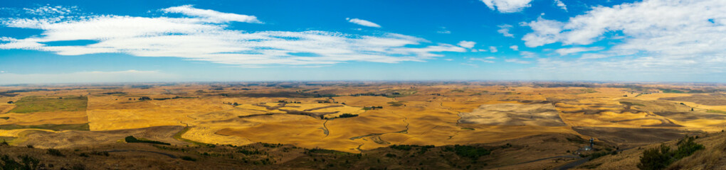 Fototapeta premium Summer in The Palouse, Washington