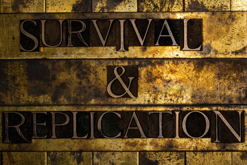 Survival and Replication text on textured grunge copper and vintage gold background