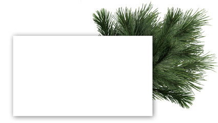 fresh blank christmas invitation card with fir branches