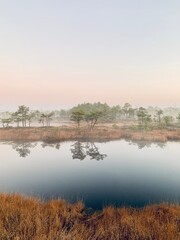 misty morning on the lake
