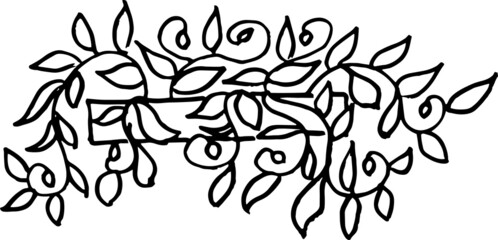 Doodle indoor flowers plants,Pot plants set hand-drawn design elements. Black and white illustrations of house ,plants.