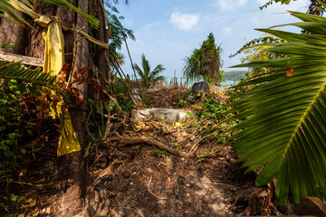 Aftermath of tsunamin on Phi phi island Thailand.