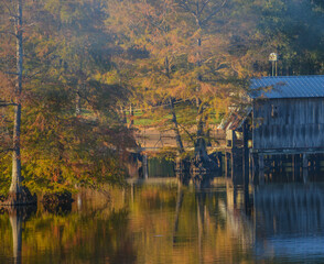Fototapeta premium A Boat House among Bald Cypress Trees along the shoreline of Lake D''Arbonne. In Farmerville, Union Parish, Louisiana