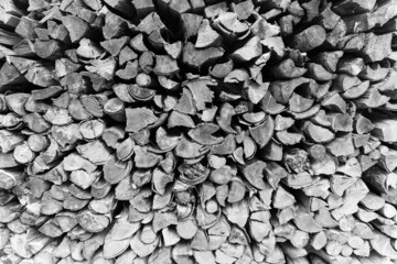 Holz Hintergrund schwarz wei&szlig;