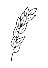Contour drawing of a branch with leaves. Vector isolated clipart.