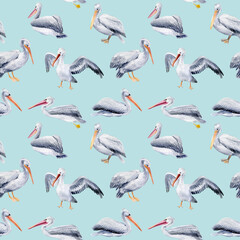 Fototapeta premium Seamless pattern with pelicans on a blue background, watercolor illustrations, paper design, birds.