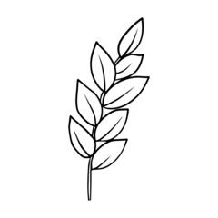 Contour drawing of a branch with leaves. Vector isolated clipart.