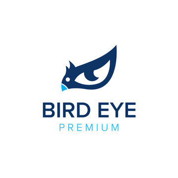 Bird Eye Logo icon vector template