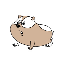 Hand drawn beige vector illustration a portrait of a beautiful fan adult young hamster with big sad eyes isolated on a white background