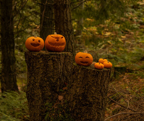 halloween  pumpkin