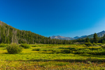Obraz premium Sawtooth National Recreation Area, Idaho