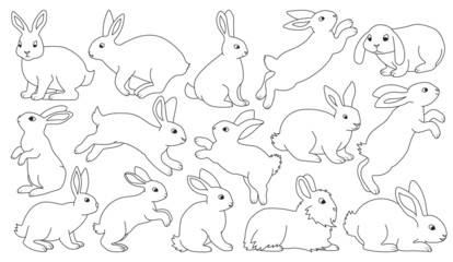 Rabbit vector outline set icon. Isolated outline set icon animal.Vector illustration rabbit on white background.