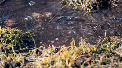 Puddle with splashes of water during the rain