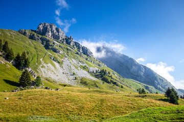 Naklejka premium Mountain landscape in The Grand-Bornand, France