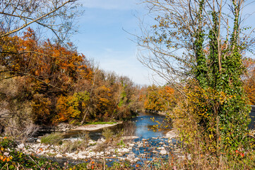 Münchenstein, Birs, Fluss, Wehr, Birstal, Baselland, Arlesheim, Reinach, Wald, Waldweg, Auwald,...