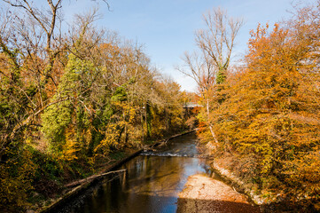 Münchenstein, Birs, Fluss, Birstal, Baselland, Arlesheim, Reinach, Wald, Waldweg, Auwald, Uferweg,...