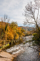 Münchenstein, Birs, Fluss, Birstal, Baselland, Arlesheim, Reinach, Wald, Waldweg, Auwald, Uferweg,...