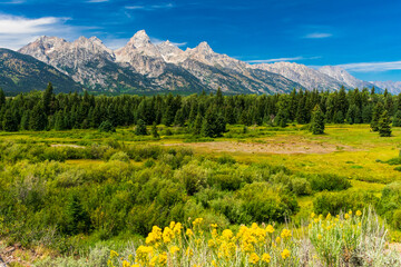 Fototapeta premium Grand Teton National Park, Wyoming