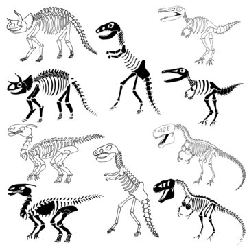 Dinosaur skeletons set. Dinosaur bones silhouettes, isolated objects.