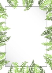 fern rectangular frame with elegant black line, vector illustration isolated on white background, botanical element, nature design for cosmetics, web, prints, homedesign