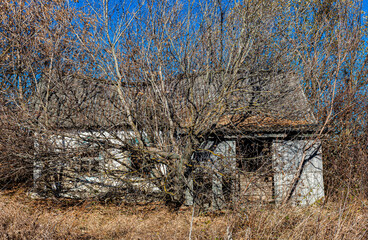 old abandoned village house standing among the trees
