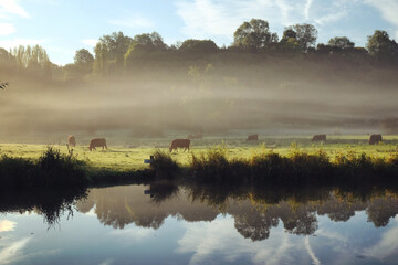 Mist on the River Wey, Godalming, Surrey, UK