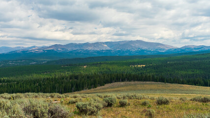Obraz premium Bighorn National Forest, Wyoming, USA