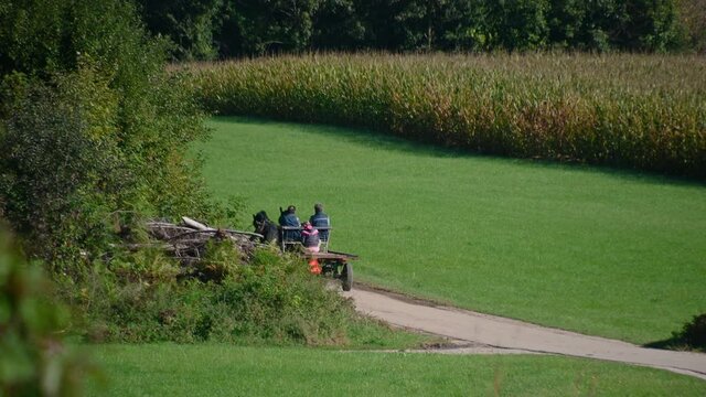 Old horse drawn buggy ride through the green landscape in Slovenia. People on old wooden trailer. Rural, countryside area. Narrow paved road. Static shot, real time