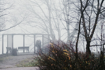 A heavy fog in Moscow