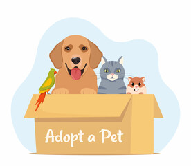 Adopt a pet. Cute homeless puppy, kitten, hamster, parrot inside a cardboard box are waiting for the adoption. Vector illustration for animal shelter poster.